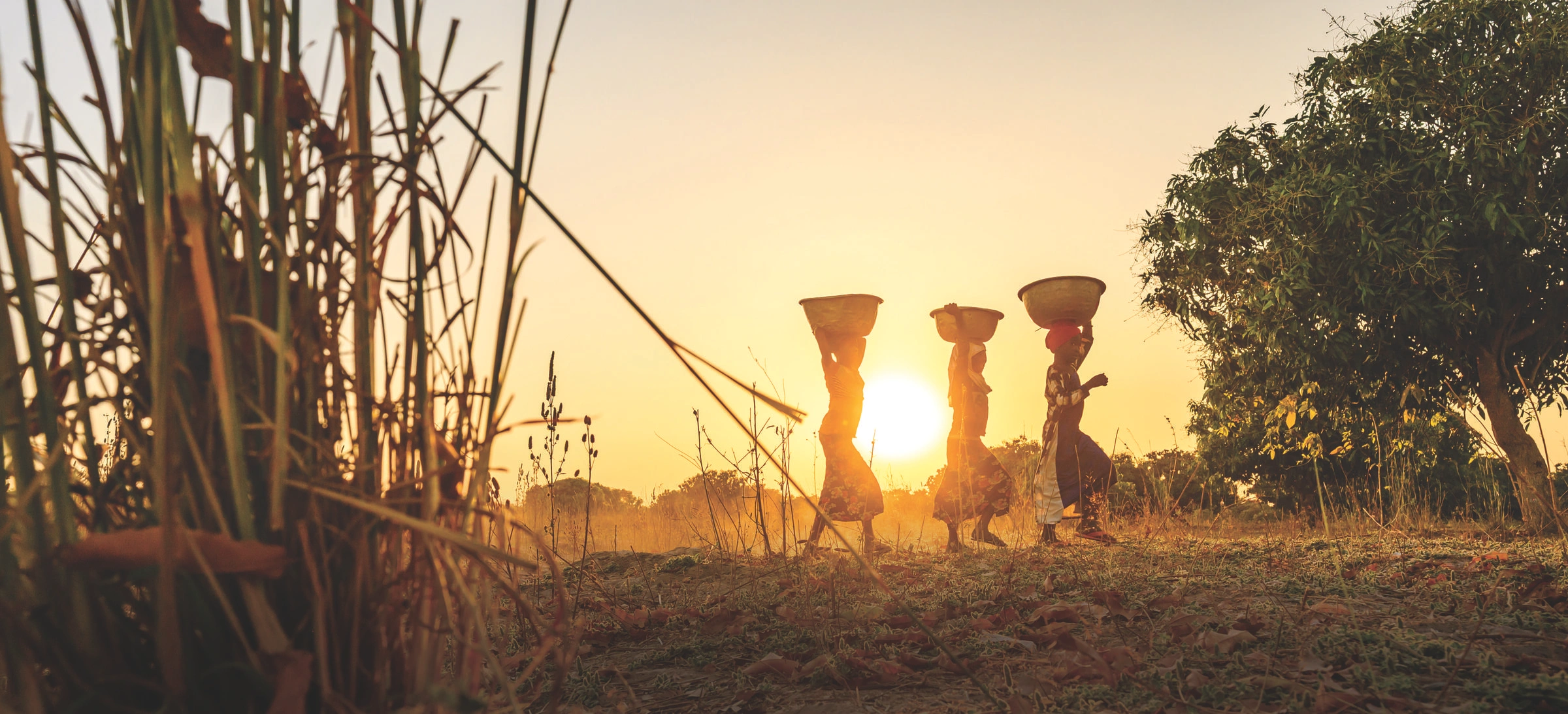 Girls walk carrying buckets of water on their head with the sun setting behind them