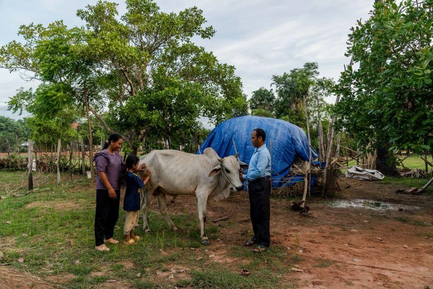 In Cambodia, a mother, father and daughter stand close to their family cow.