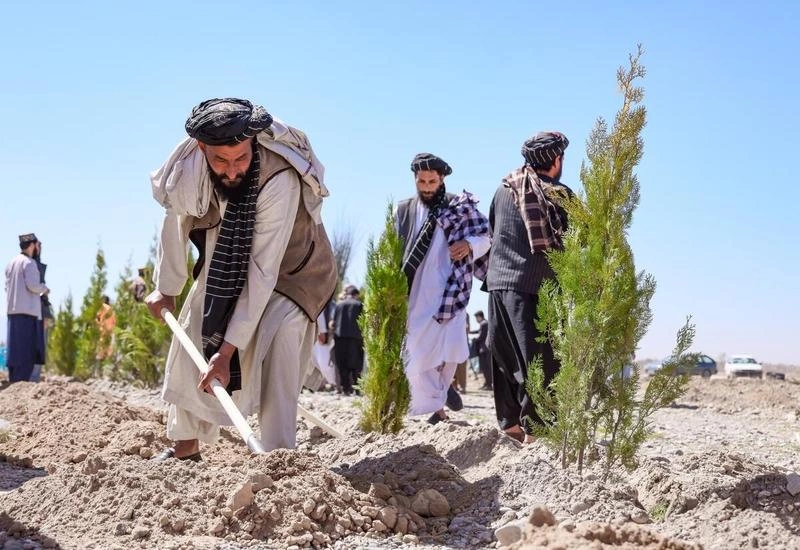 Story photo