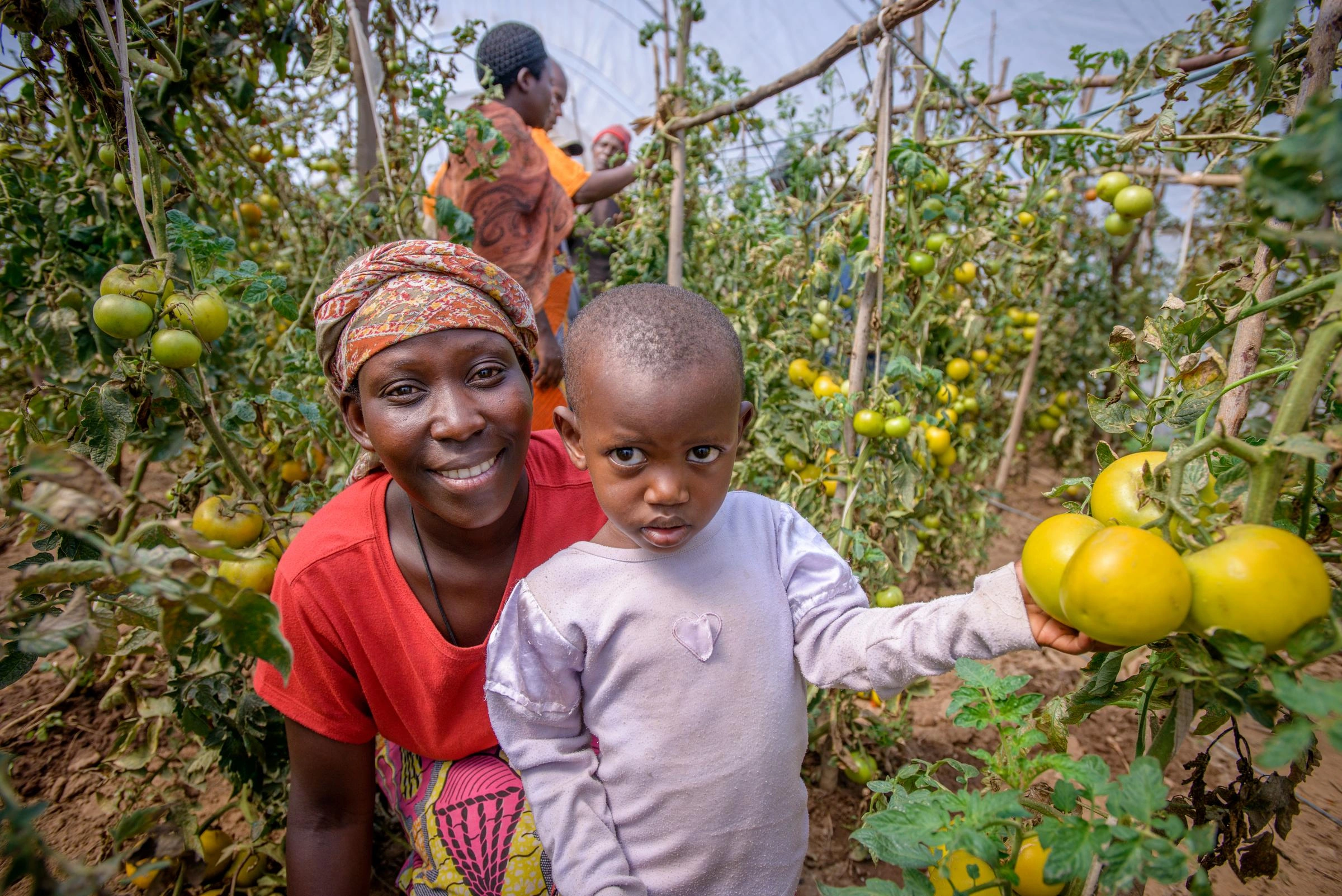 Toddler touches tomato plants while a smiling woman kneels beside.