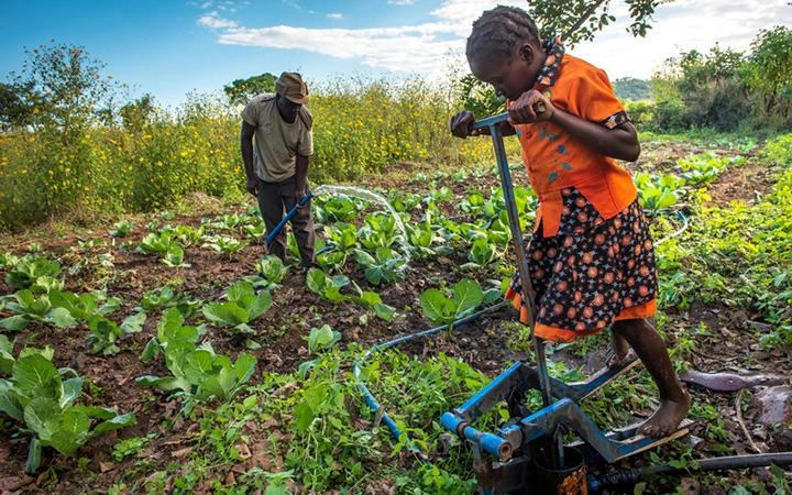 On a field, a girl works a treadle pump while a man waters plants with a hose.