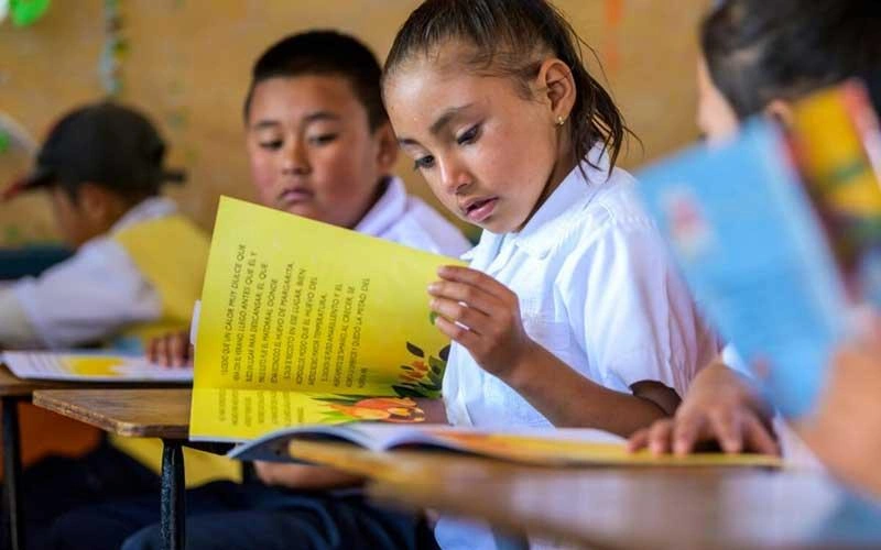 Poverty Reduction - girl student reading a book