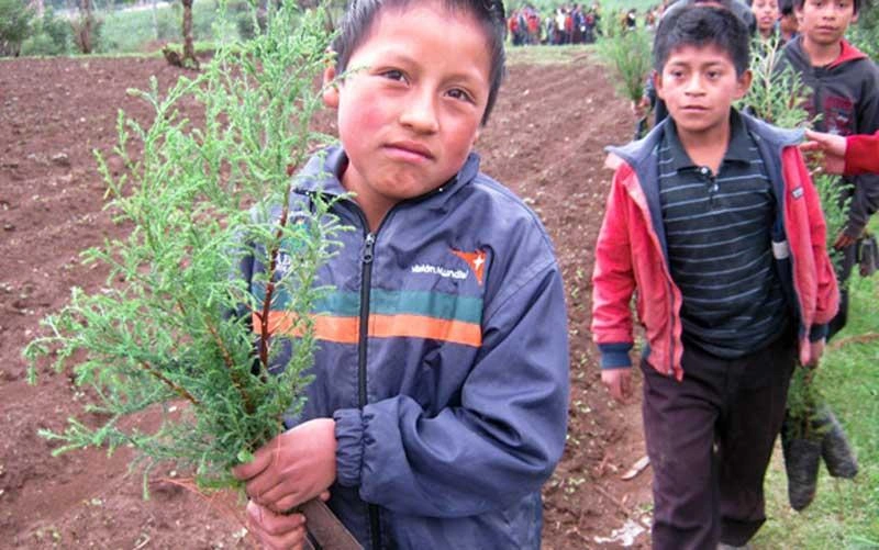Poverty Reduction - child holds a bunch of plants in his hands