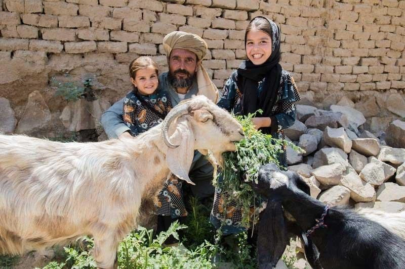 A girl with a headscarf smiles broadly toward the camera, as she holds a big bunch of grass for her goats to munch. Her father, sitting close-by with the toddle