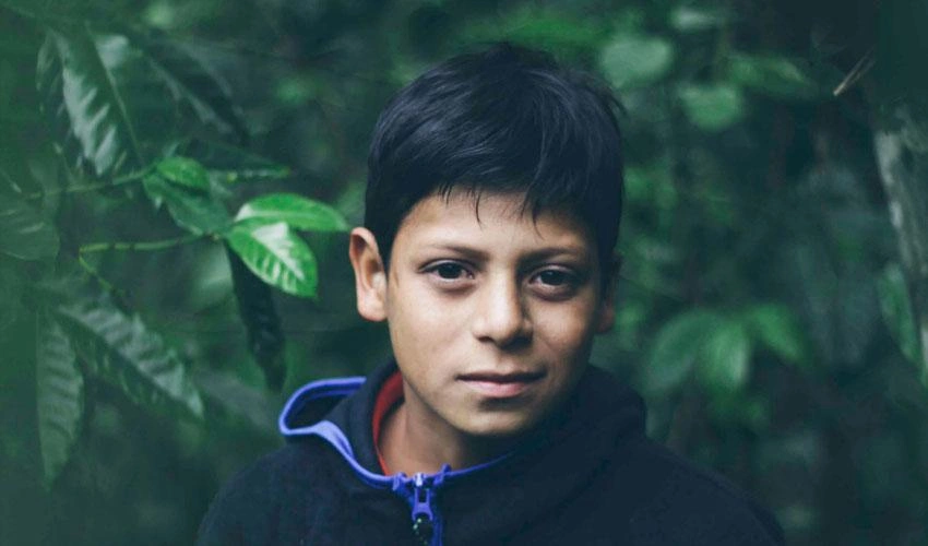 A boy in a black hoodie stands amongst foliage.