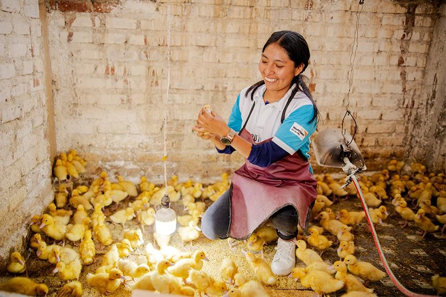 A teenage girl holds a duckling at her successful farming business in Peru. 