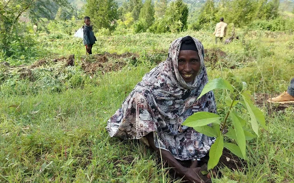 resilient-we-woman-planting-a-tree.webp