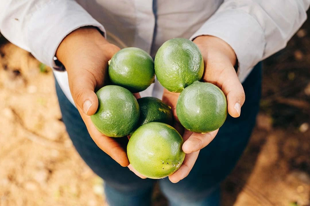 Genesis holds the limes grown on their farm.