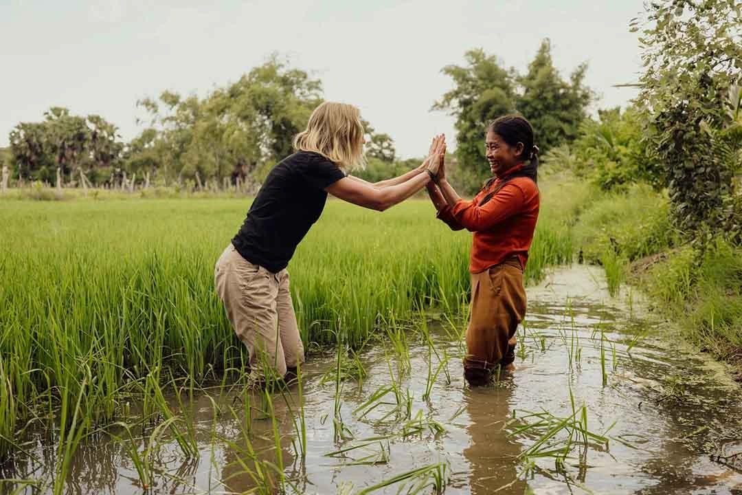 Women high five each other in a rice field filled with water.