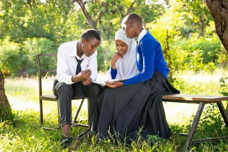 Three students sit outside and learn.