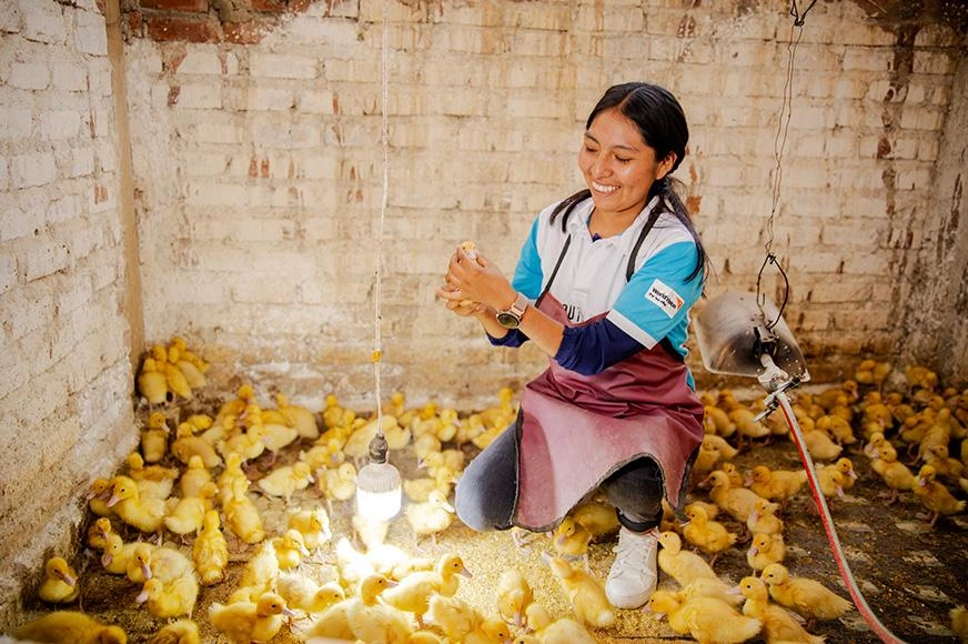 Une jeune femme tient un petit poussin dans ses mains, accroupie dans un poulailler.