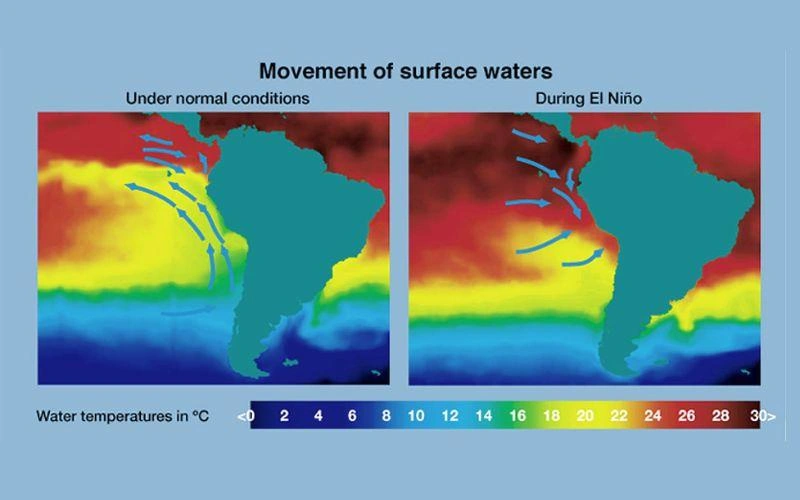 Une carte du monde illustre la progression du phénomène El Niño.