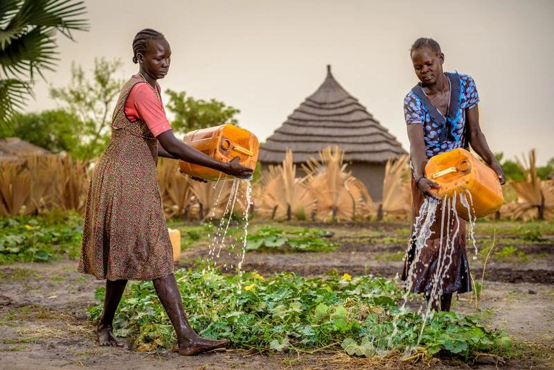 Des femmes arrosent leurs cultures au Soudan du Sud