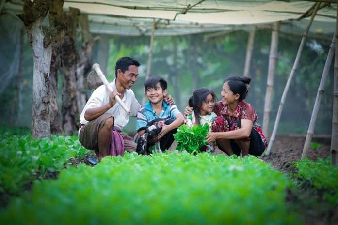 Une famille est agenouillée au milieu de rangées de légumes d’un vert éclatant. Ils s’enlacent. Ils arborent un large sourire.