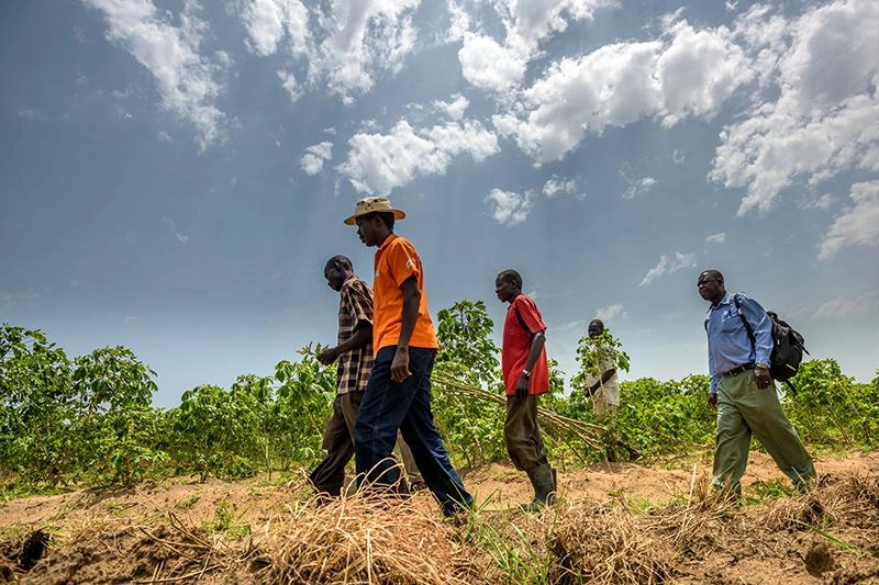 Les agriculteurs et le personnel de World Vision discutent des progrès réalisés dans le cadre d’un projet agricole communautaire.