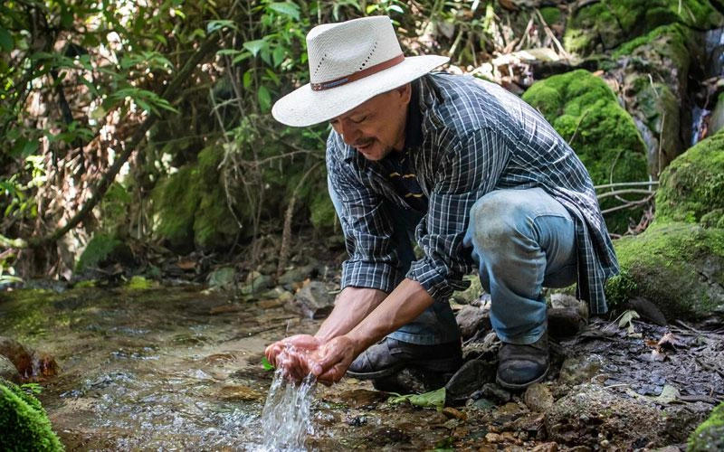 Un homme se trouve dans une forêt et puise de l'eau à mains nues dans un ruisseau.