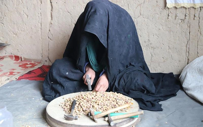 World Vision Canada : Causes de la pauvreté et moyens de subsistance
