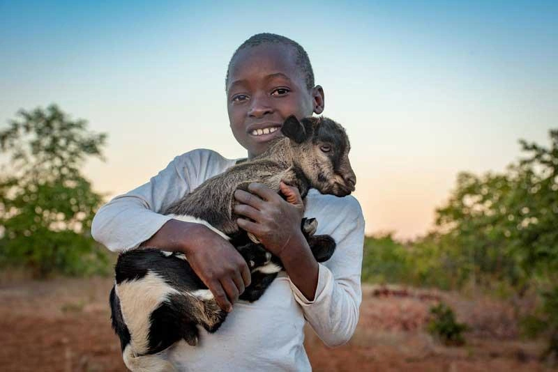 En Zambie, un garçon tient fièrement dans ses bras un chevreau qui vient de naître dans le troupeau de sa famille. Le garçon sourit.