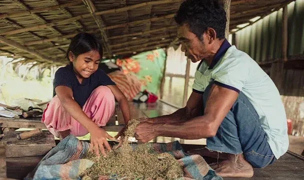 Un père et sa fille sont assis côte à côte sur une plate-forme en bois; à l'intérieur d'un abri rudimentaire, ils trient à la main des feuilles de maïs séchées.