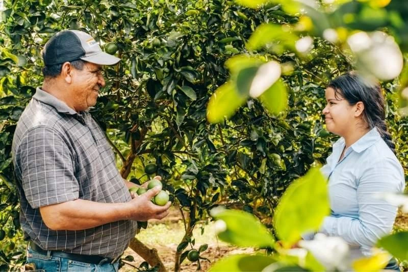 Le grand-père et sa petite-fille s'échangent des sourires alors qu'ils récoltent des citrons verts à l'extérieur, dans leur ferme.