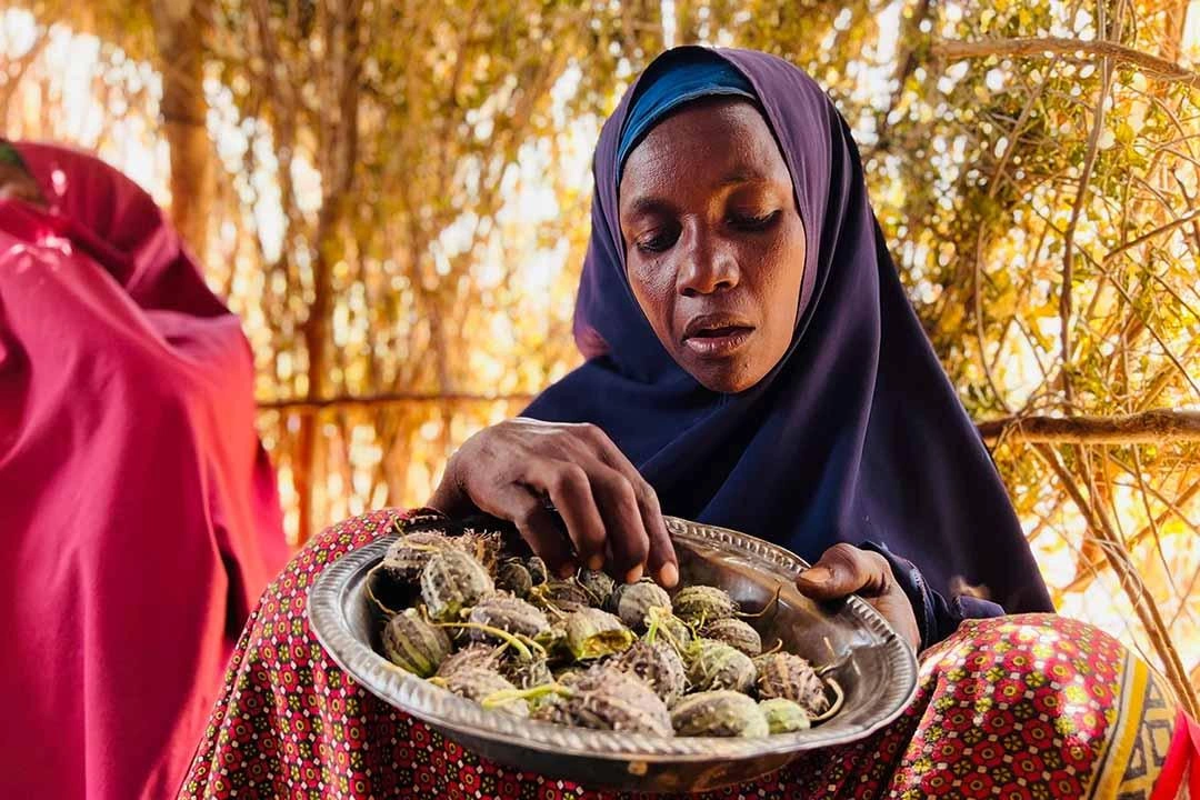Une femme mange des noix que sa famille a récupérées.