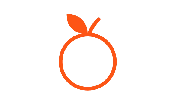 Icon of food an orange.