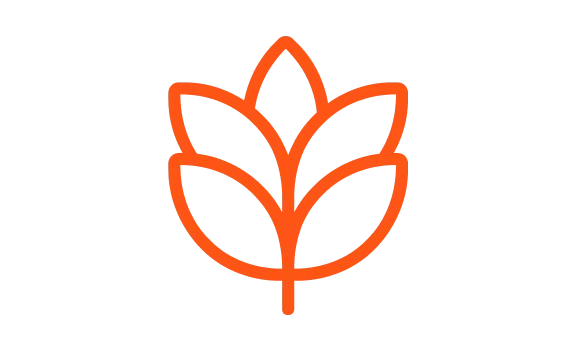 An icon picture of a wheat outlined in orange.