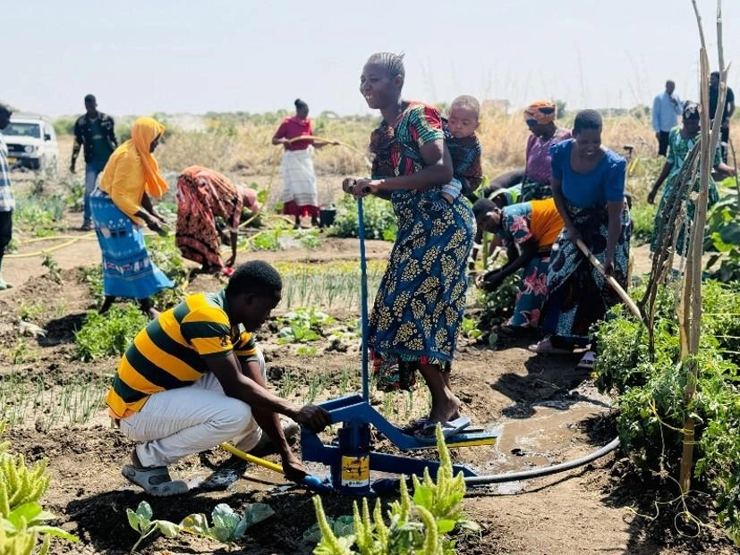 Les membres de la communauté travaillent ensemble dans leur jardin.