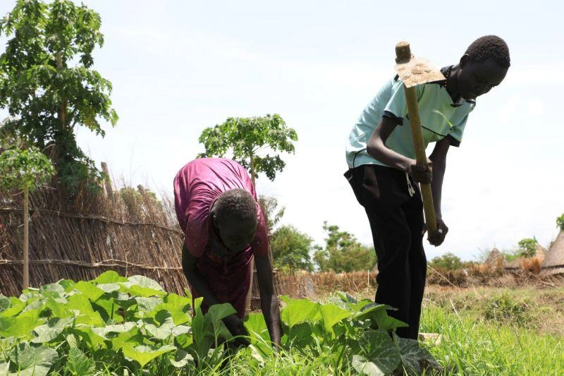 A boy and his grandmother are working in their garden in front of their home.