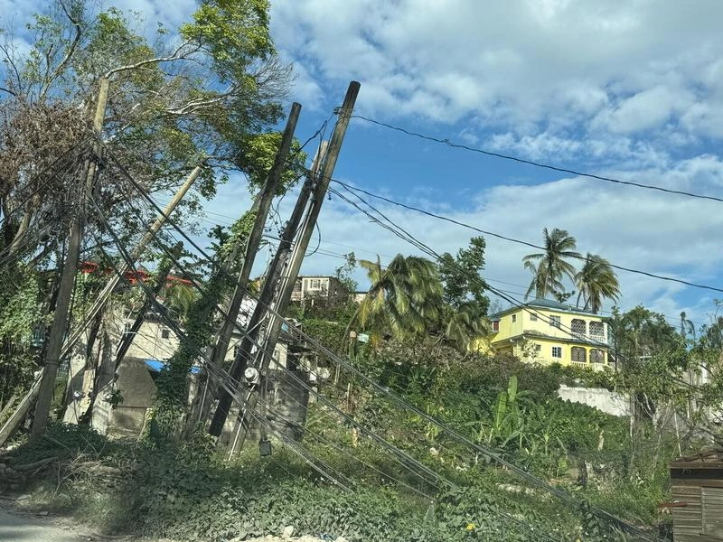 Leaning utility poles and tangled power lines beside stripped trees and damaged homes in Bethel Town, Jamaica, after Hurricane Melissa.