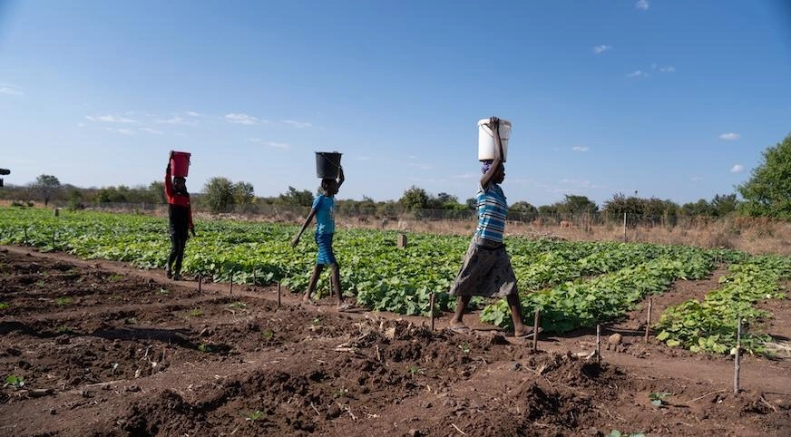 Three people walk through a garden carrying buckets on their heads.