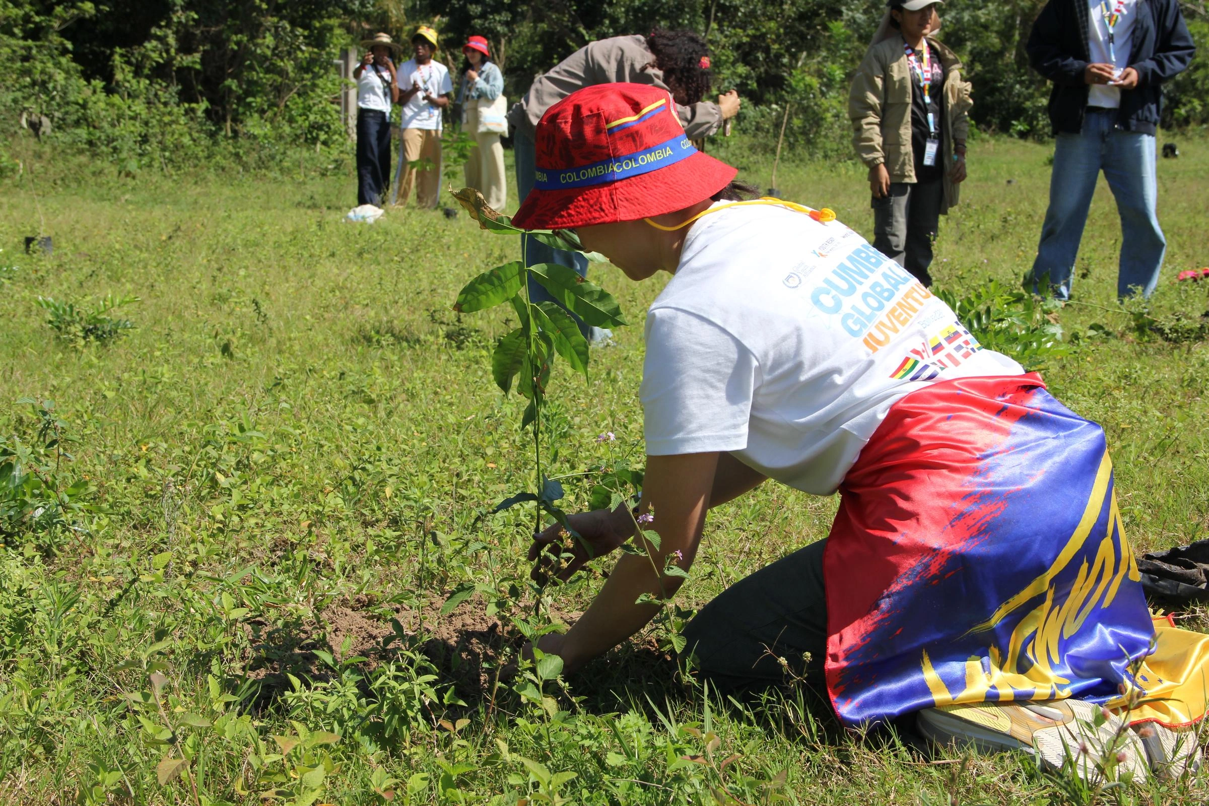 An individual wearing a hat plants a tree.