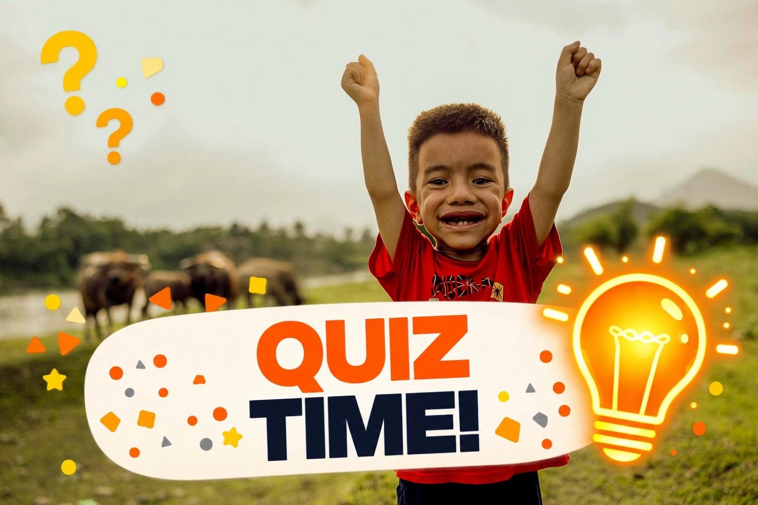 A young boy raises both hands in the air triumphantly, with the words “quiz time!” and a lightbulb graphic in front of him.