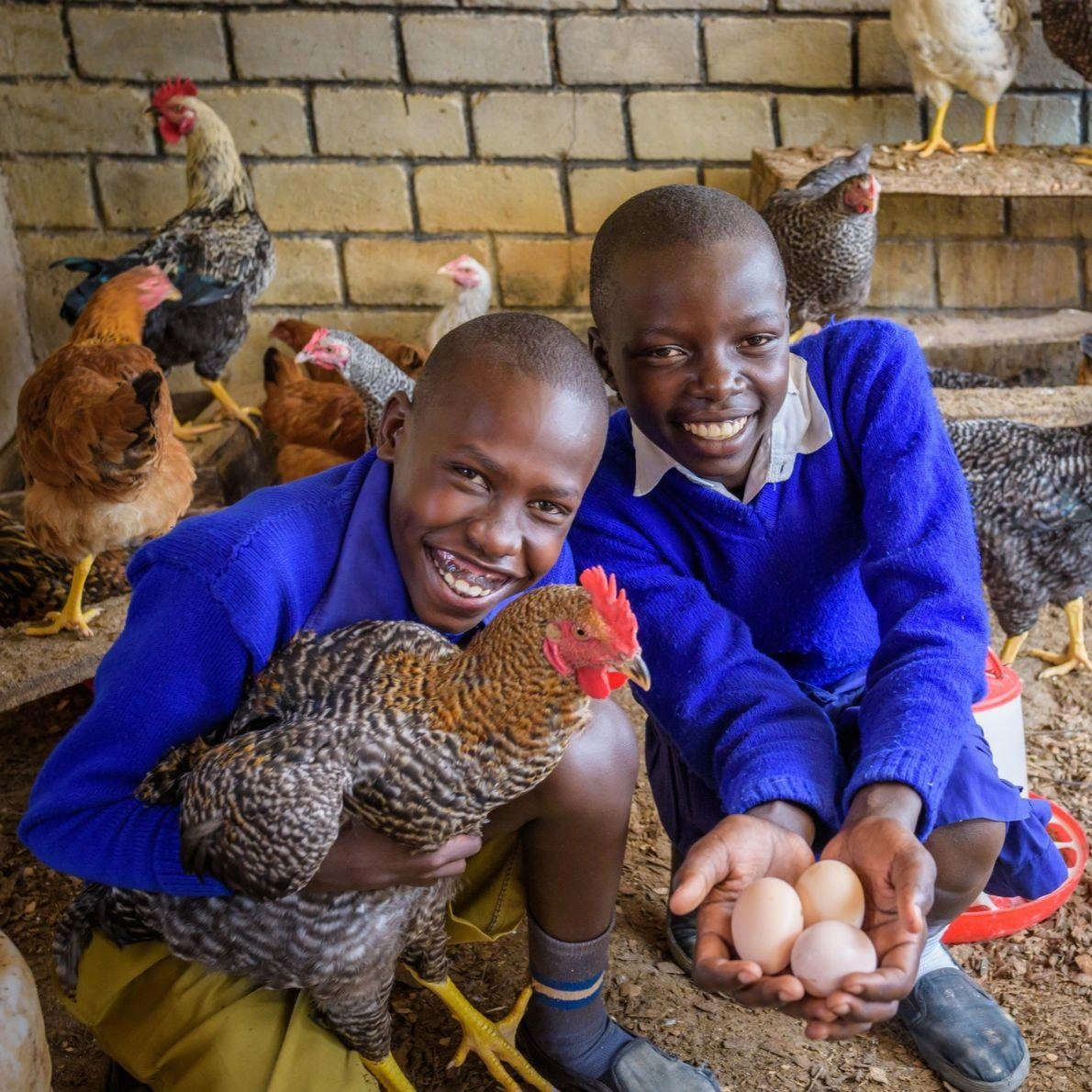 Two boys in blue school uniforms smile while holding a chicken and eggs.