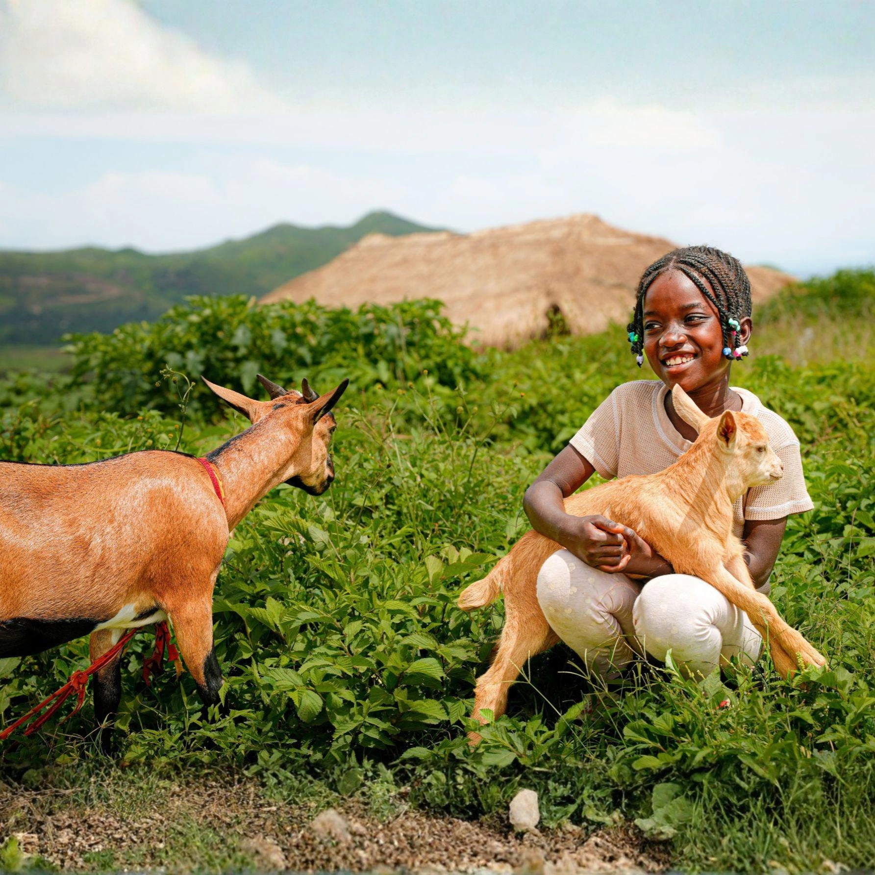 A smiling girl holds a goat while another goat stands nearby.