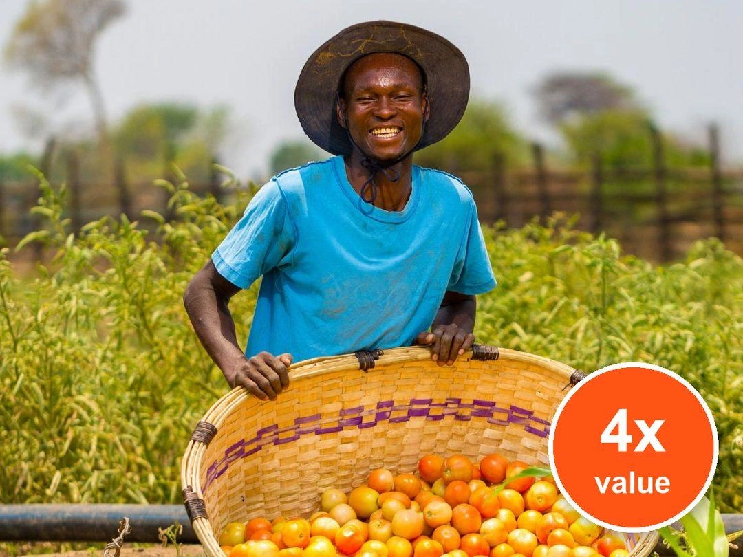 A smiling man in a blue shirt and straw hat holds a basket filled with fresh tomatoes. Badge: 4x value.