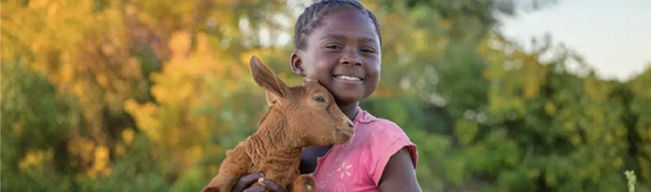 A young girl wearing a pink shrit, holds a goat.